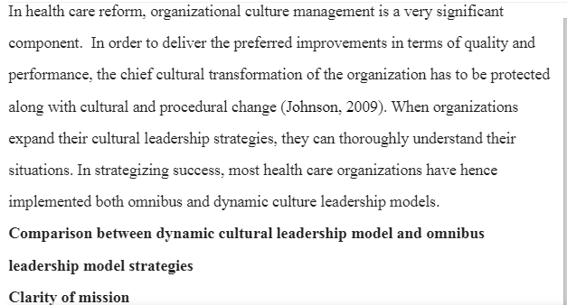 Cultural Leadership Strategies