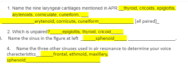 APR worksheet for Respiratory Tract