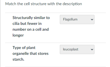 Eukaryotic Cell Structure-BIOL-107 