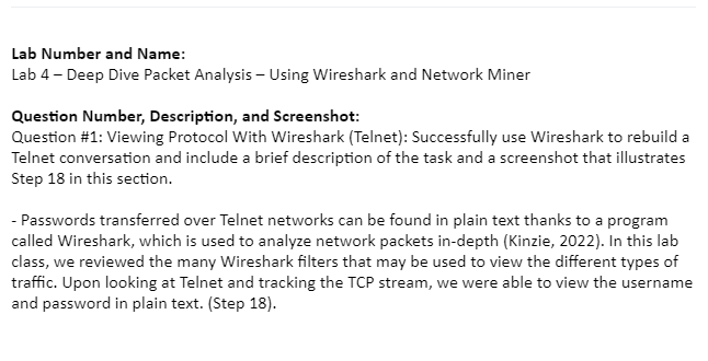 Lab 4: Deep Dive Packet Analysis-IT-320