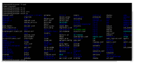 Linux Command Line 101-ITT-221