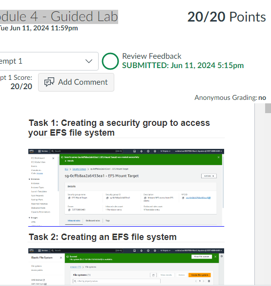 Module 4 - Guided Lab- INT-2719