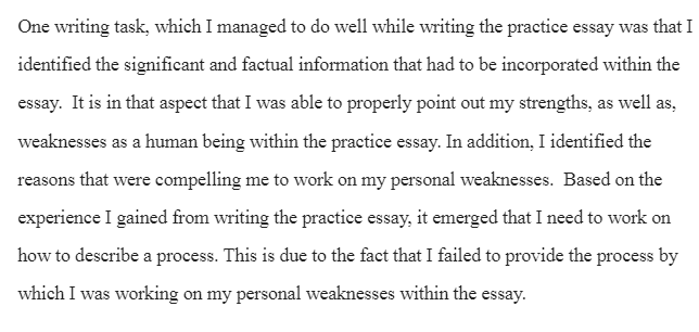 Essay Writing Experience