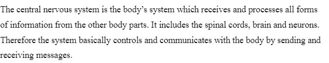 Nervous system Parts and Functions