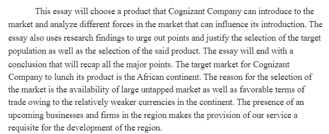 Target Market for Cognizant Company