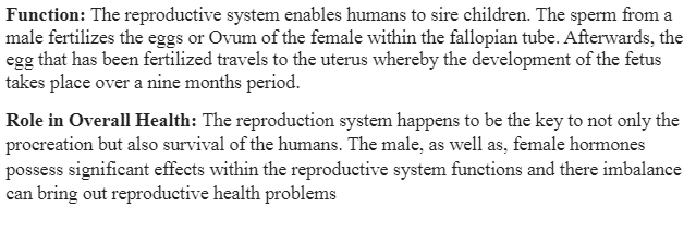 The Reproductive System