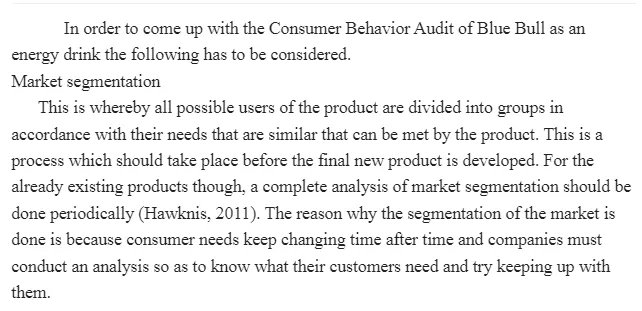 Consumer Behavior Audit