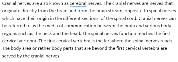 The Nervous System-Cranial Nerves