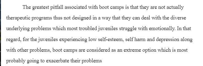 Juvenile Boot Camp Programs