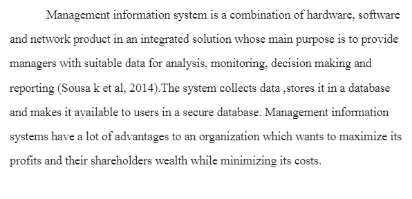 Management Information System