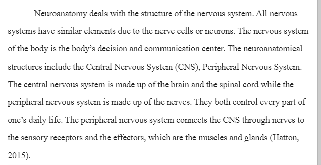 Neuroanatomical Structures