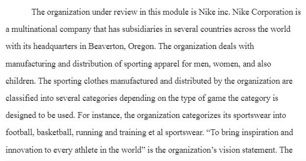 Nike inc. Balanced Scorecard & the Financial Perspective