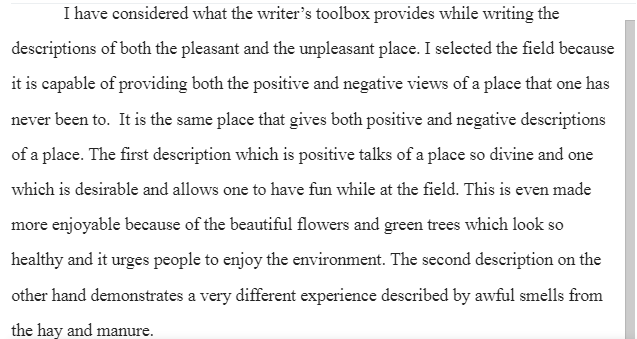 Point of View Essay 