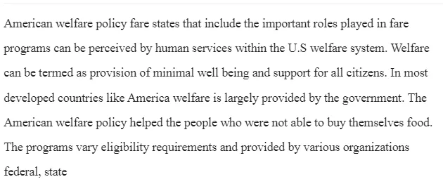 Welfare Programs in the American Human Services System